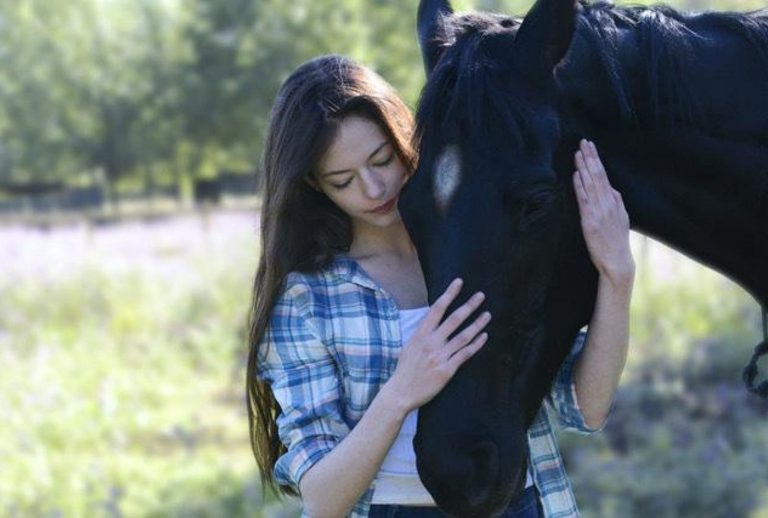 ‘Black Beauty’: Mending broken spirits in yet another retelling of a classic