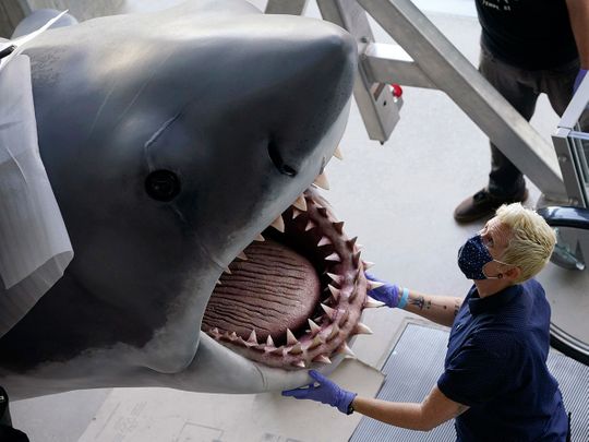 You’re gonna need a bigger museum: ‘Jaws’ shark installed