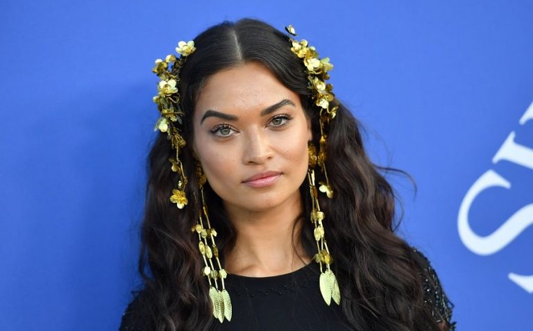 Shanina Shaik gets fit at home with Adidas and ASOS