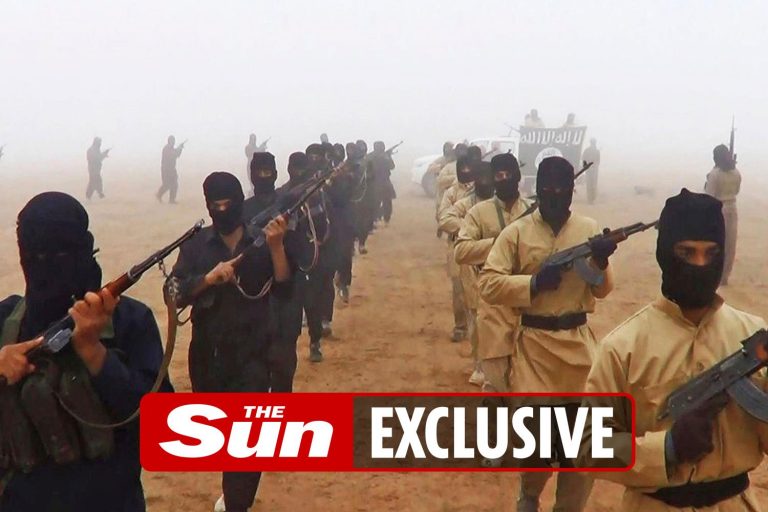 ISIS remains a threat to Britain ‘because coronavirus has allowed terrorists to regroup’