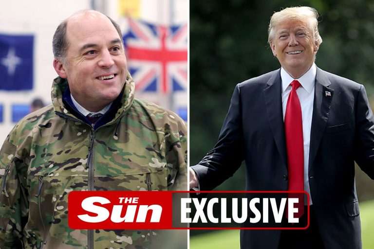 Donald Trump is a good pal & Britain will miss him when he leaves the White House, says Defence Sec