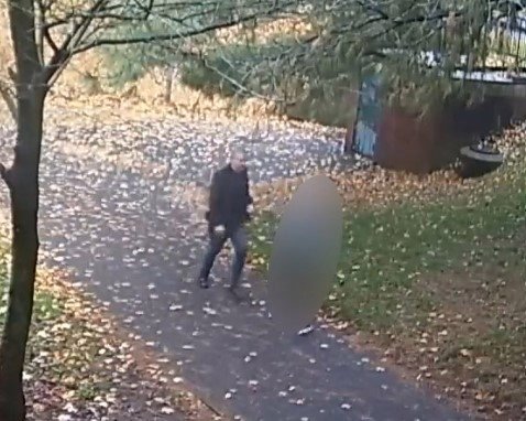 Terrifying moment sex attacker pounces on schoolgirl from behind before assaulting her in park