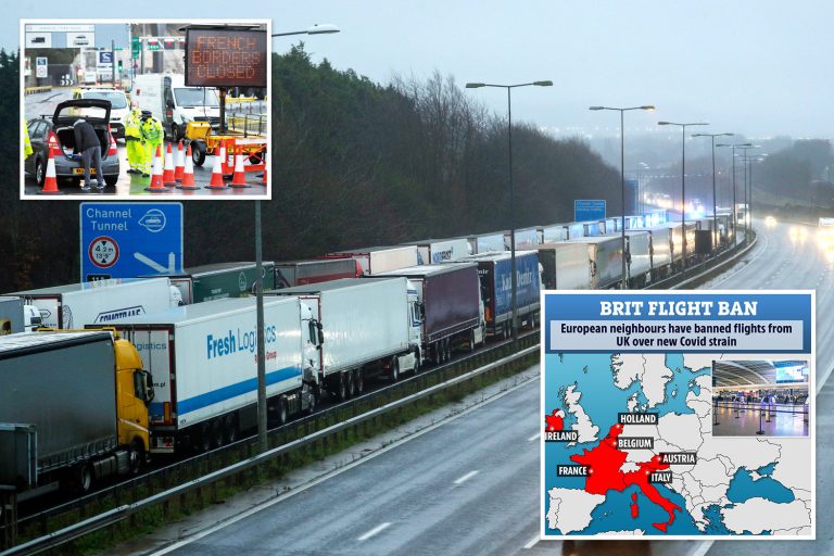 France to lift UK lorry ban ‘within hours’ after supermarkets warn of fresh food shortages under…