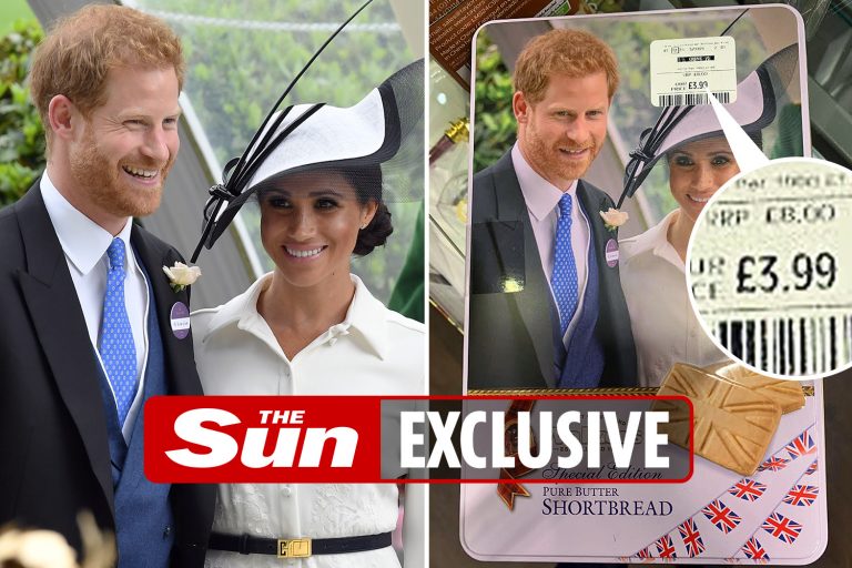 Prince Harry & Meghan Markle’s posh biscuits flogged for £3.99 at TK Maxx after going on sale for…