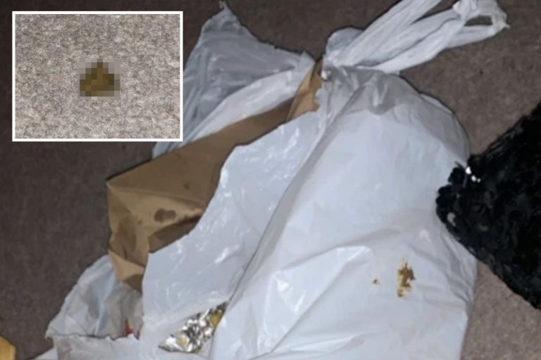 UberEats customers vomits after finding ‘human faeces’ smeared on his takeaway bag halfway through…