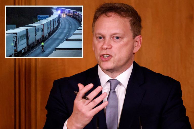 Transport Secretary Grant Shapps says Covid border shutdown proves Britain’s ready for No Deal…