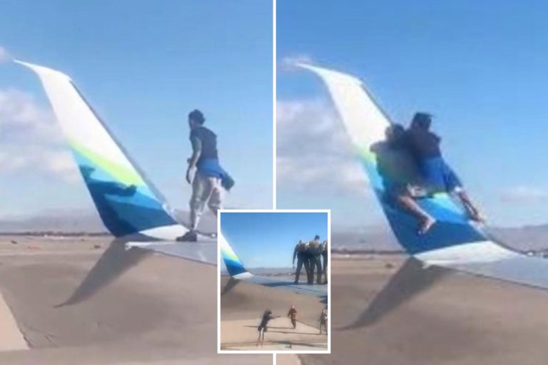 Wild moment man climbs on wing of plane before plunging onto tarmac in front of horrified passengers