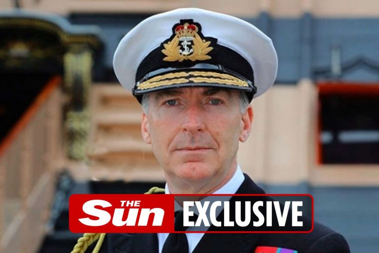 Royal Navy chief rescued after sinking sit-on mower when river burst its banks and flooded his…