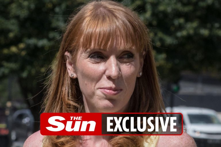 Labour’s Shadow Cabinet pocketed thousands in lockdown expenses billing YOU for first-class travel &…