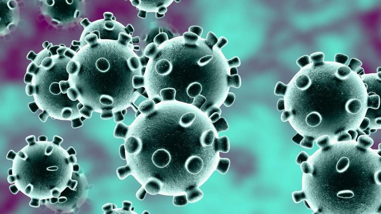 Coronavirus UK news – Postcode hunt for South Africa covid variant after Surrey infections found…