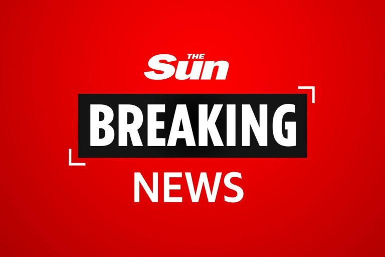 Man stabbed to death in horror knife attack in North London as two are arrested