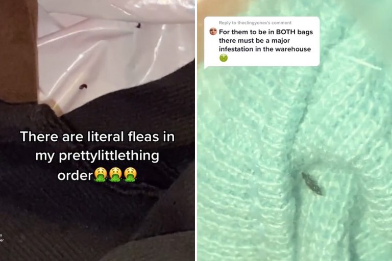 PrettyLittleThing forced to call in PEST CONTROL as customers ‘find fleas in their clothes’