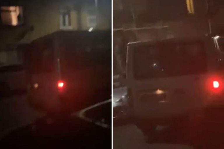 Fears for ‘shouting’ woman ‘bundled into a van by two men and filmed being driven away’ as cops…