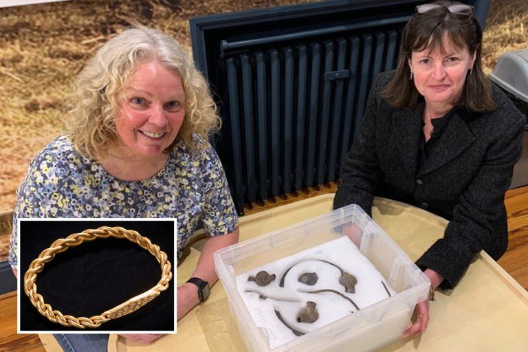 Retired police officer discovers 1,000-year-old Viking treasure including gold bracelet during metal…