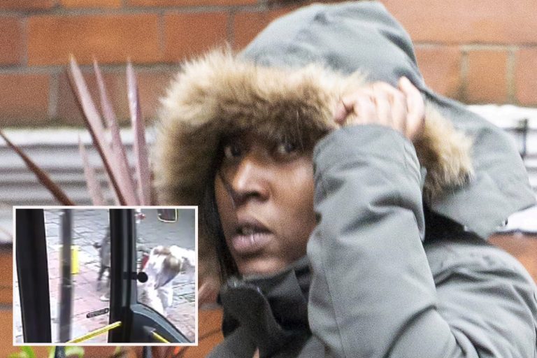 ‘Pimlico Pusher’ mum, 40, who shoulder barged pensioner into moving bus after Tesco row walks free
