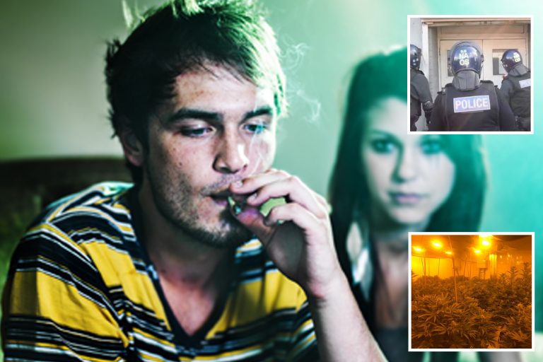 Lockdown sparks cannabis boom as stressed & jobless Brits turn to drug
