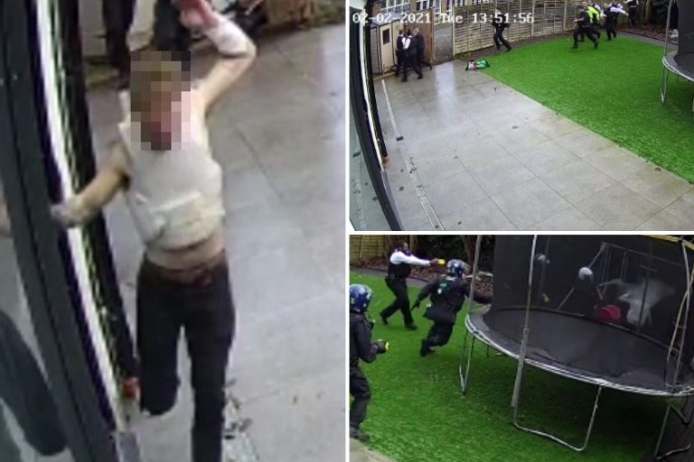 Moment cops in riot gear take down suspect in back garden after ‘molotov cocktail’ thrown near…