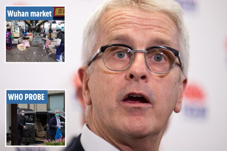 WHO Covid chaos as investigator insists virus DID start in China & dismisses frozen food theory…