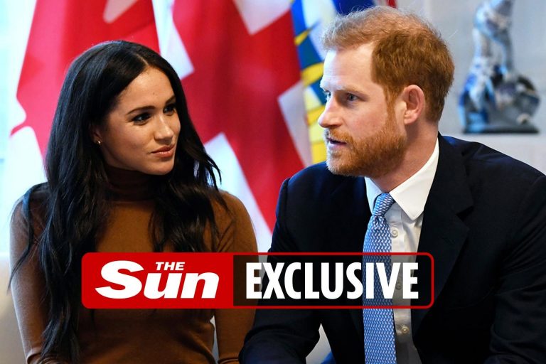 Prince Harry and Meghan Markle held secret summit with top Democrat in run-up to US election