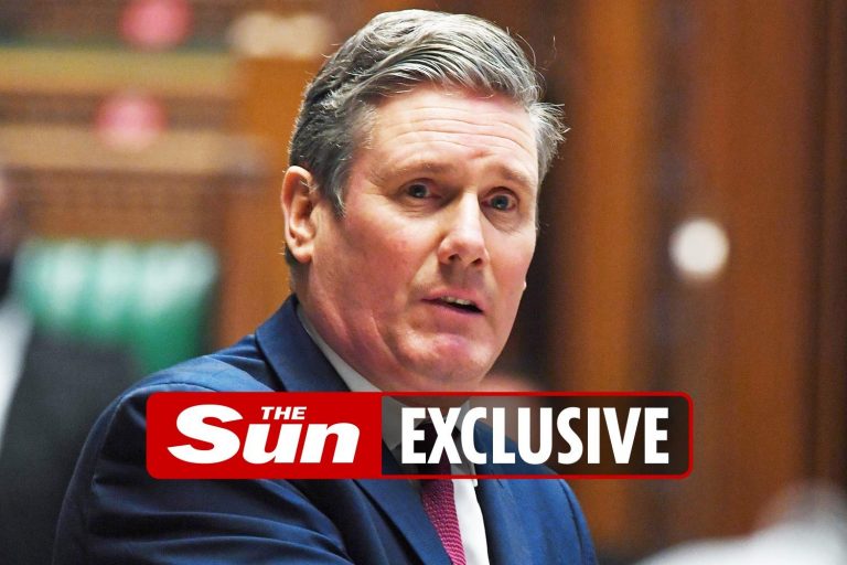 Britain’s historic honours system would be ABOLISHED under ‘shocking’ plans drawn up by Labour