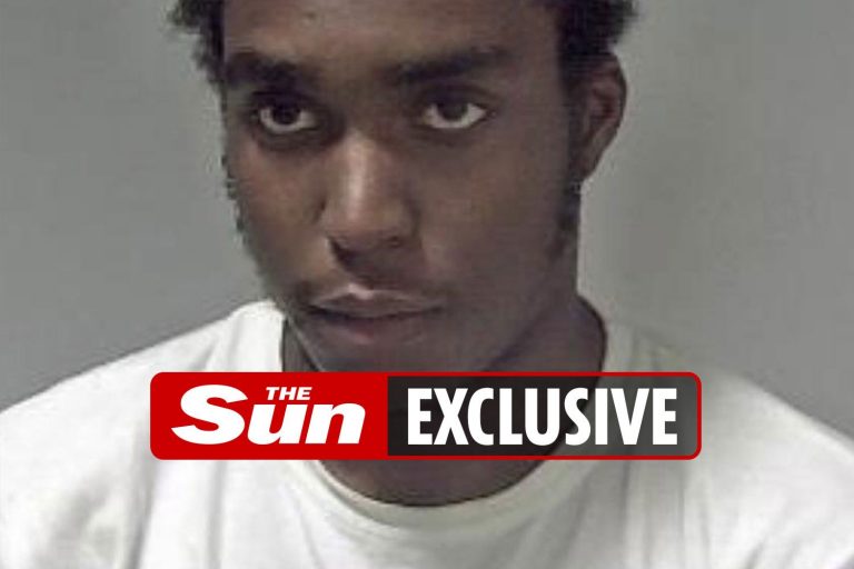 High-ranking county lines drug dealer wins legal battle to stop deportation to Jamaica