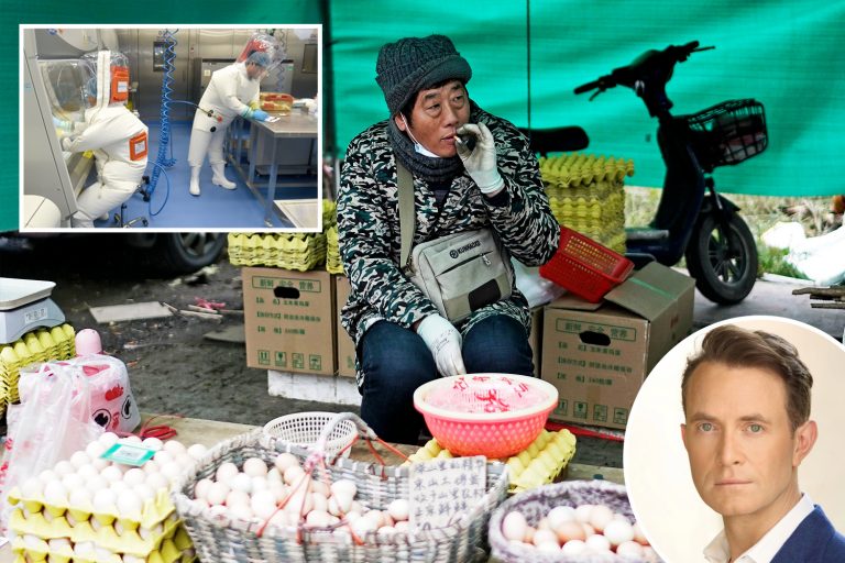 Corrupt WHO was never going to get to the bottom of where Covid originated from