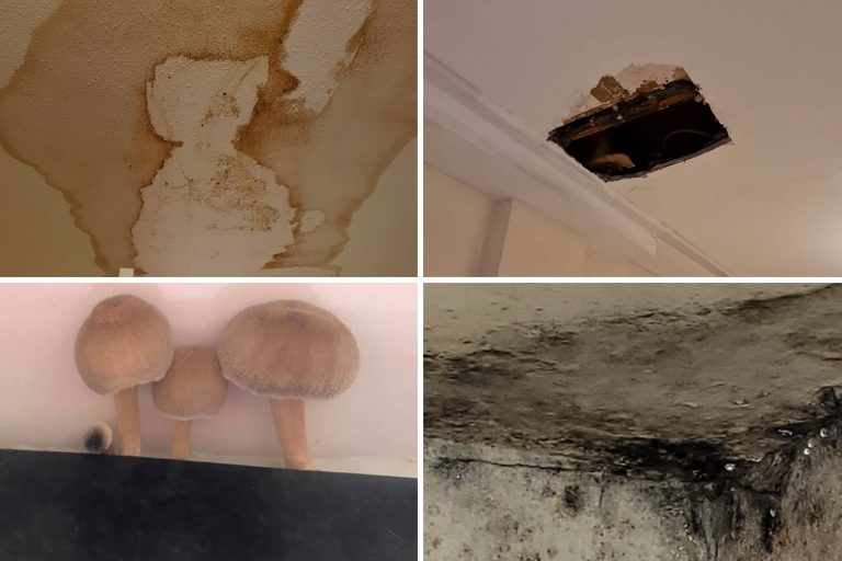 Thousands of troops want to quit the Army because of shoddy military housing