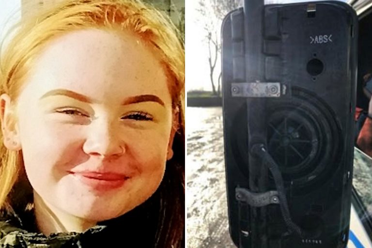 Schoolgirl, 14, killed after she was clipped by lorry’s wing mirror while walking along country road