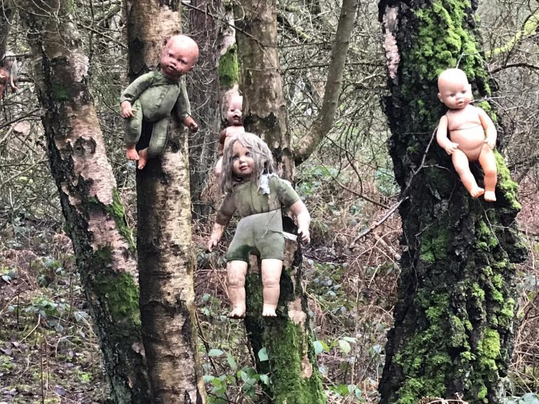 Mystery over horrifying collection of creepy baby dolls found nailed to trees in forest