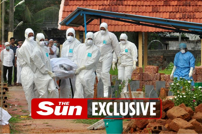 Brain-swelling Nipah virus 75 times more deadly than Covid may be next pandemic as scientists warn…