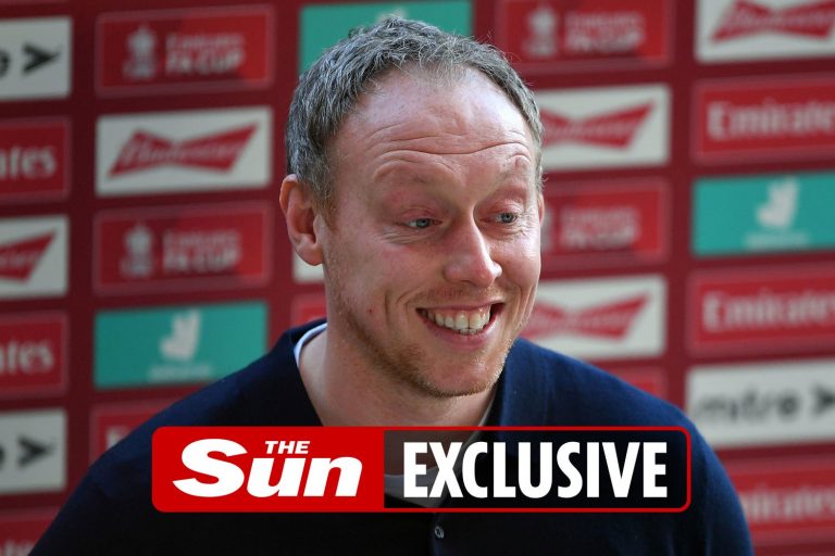 Crystal Palace plot move to replace Roy Hodgson with Swansea City boss Steve Cooper in huge summer…