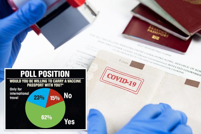 Brits willing to carry Covid vaccine passport if it means pubs and restaurants can reopen sooner
