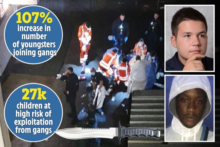 Stabbings rise as kids turn to knife crime and gangs during pandemic
