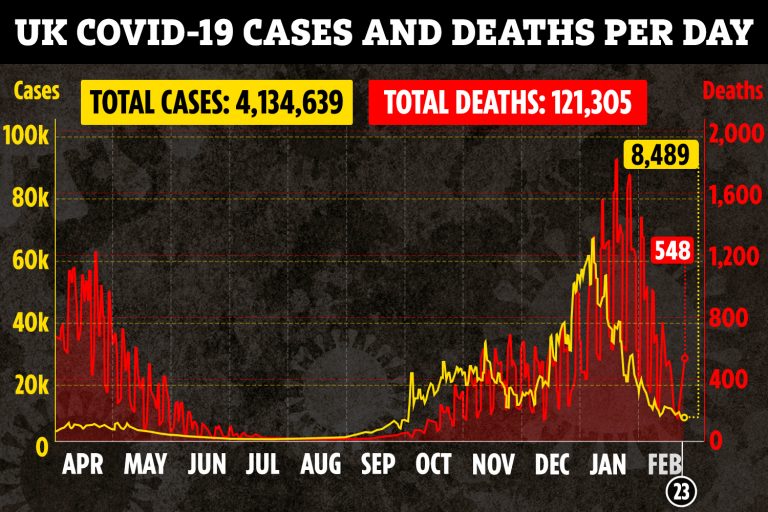 UK Covid cases at lowest level since start of OCTOBER as 8,489 test positive and another 548 die