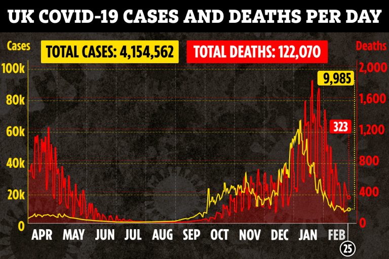 UK Covid deaths drop by a quarter in a week as 323 more die and another 9,985 test positive