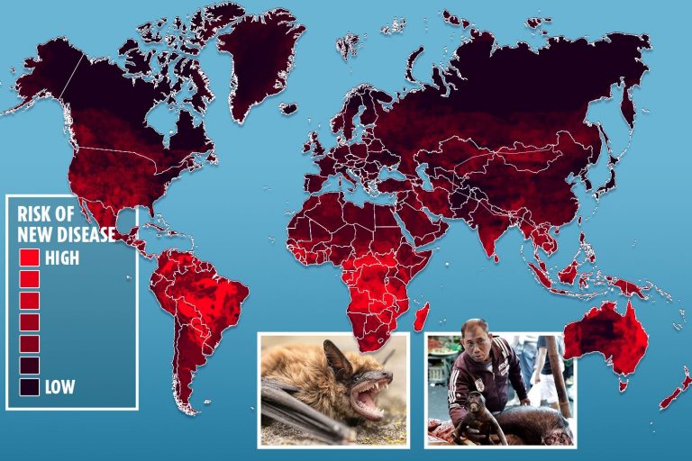 How ‘Disease X’ could spark pandemics every FIVE years after Covid and wipe out 75million as man…