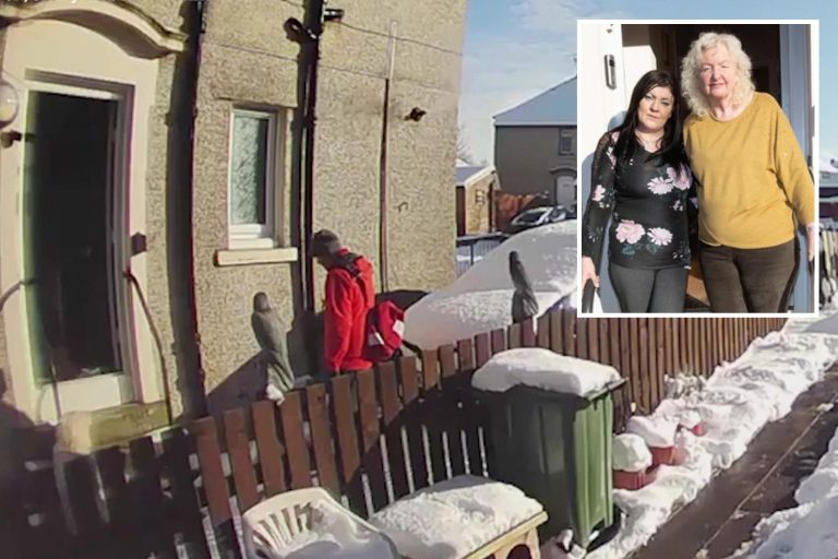 Royal Mail postman left vulnerable OAP, 72, lying in the snow after she fell because he was ‘too…