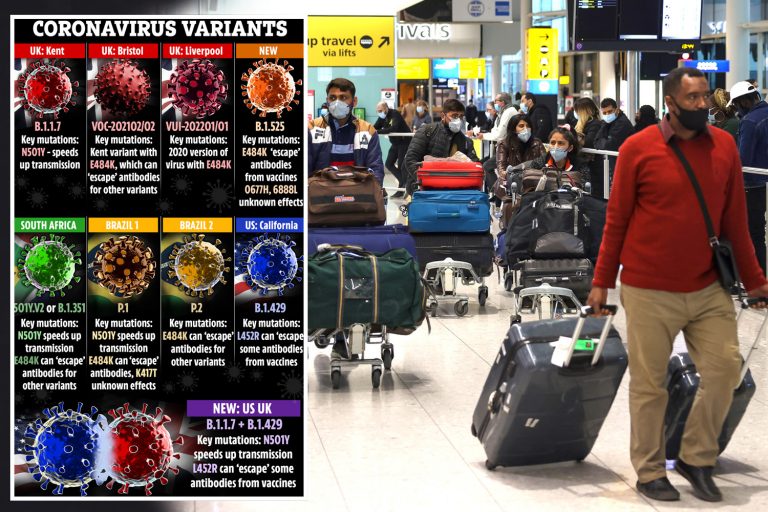 New Brazilian mutant strain of Covid found in UK for first time as Government reveal six cases