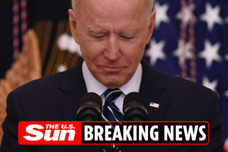 Confused Biden walks away BEFORE end of press conference moments after mumbling incoherently at the…