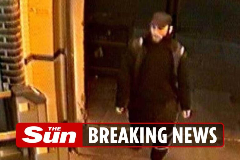 Cops hunt man, 24, who was accidentally released from custody while waiting trial for sex assault