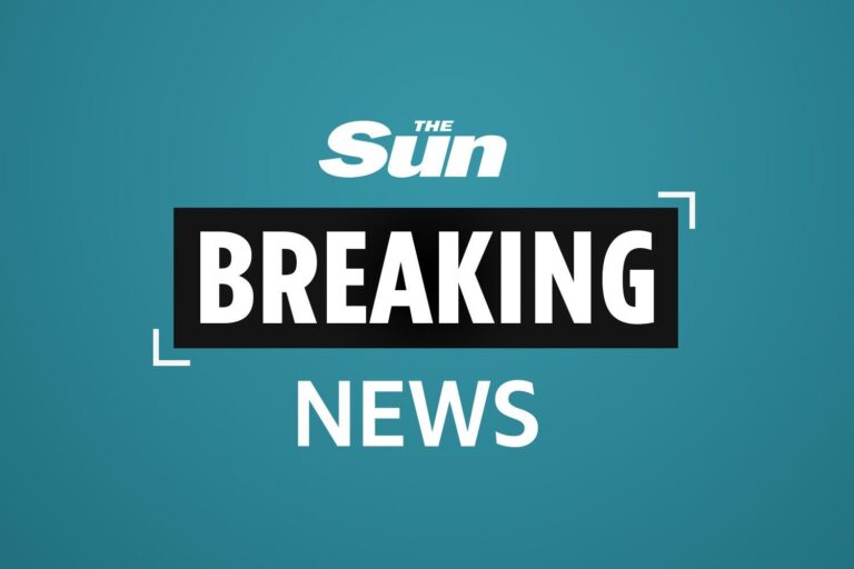 Ice hockey player Timur Faizutdinov tragically dies aged 19 after being hit in head by puck