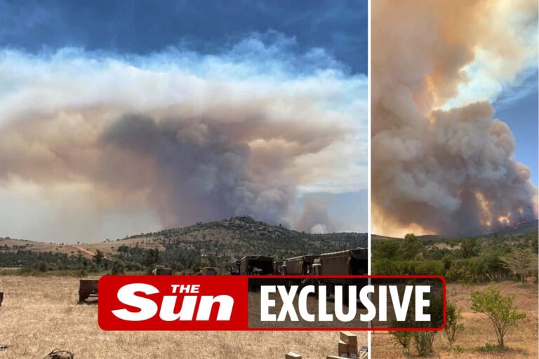 Bungling British troops spark 10,000-acre wildfire on a nature reserve in Kenya home to elephants…