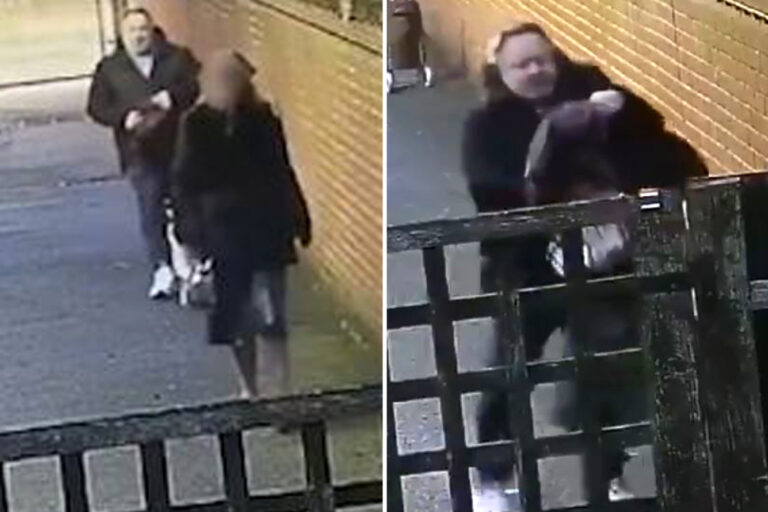 Horrifying moment thug throws pillow case over head of ‘pregnant’ woman, 20, and punches her…