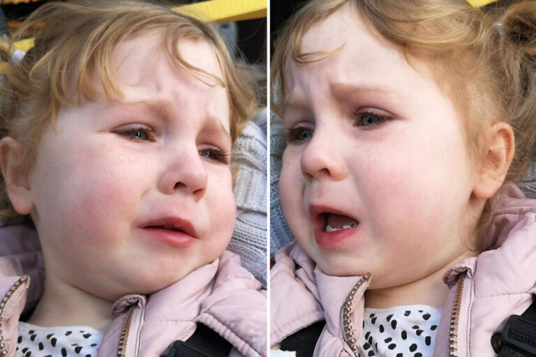 Girl, 2, begs to use the toilet after ‘FIVE shops and cafes refused to let her in bathroom because…