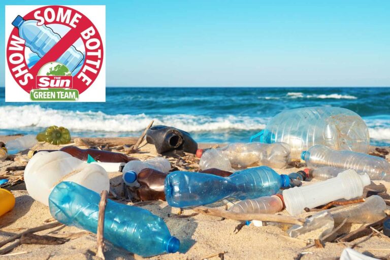 World’s biggest eco groups support The Sun’s Show Some Bottle campaign