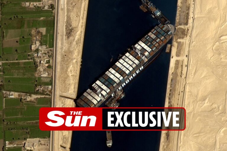Suez Canal ship’s captain and crew ‘to be placed under house arrest’ by investigators