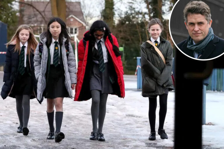 Summer holidays could be cut with five-term year and longer school day in biggest reform since WW2…