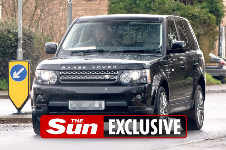 Katie Price risks jail as she’s seen driving despite disqualification over pink Range Rover crash