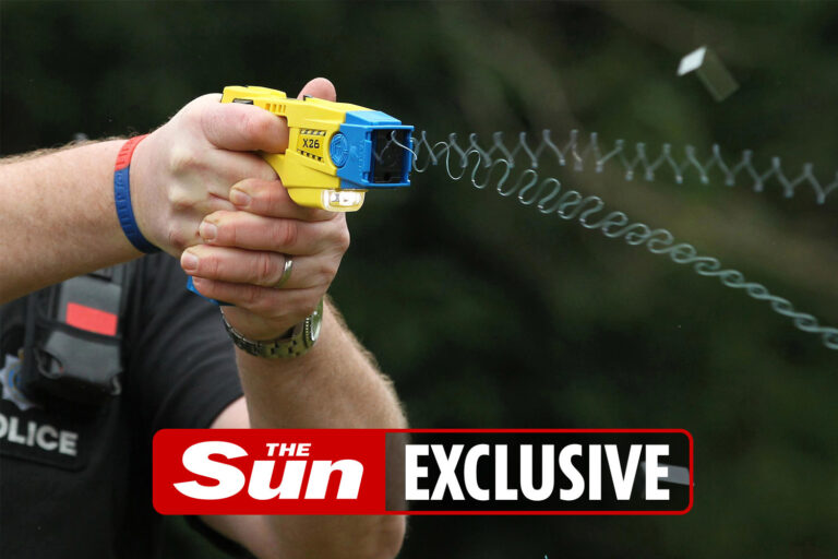 Girl, 10, tasered by police with 50,000-volt electric stun gun