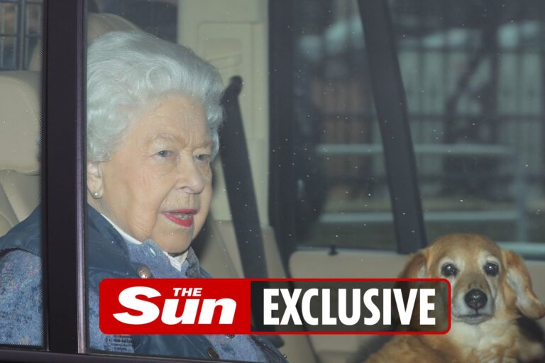 Queen gets two new corgi puppies after last one died to help her through royal crisis with Meghan